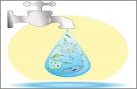 Биологическая очистка сточных вод